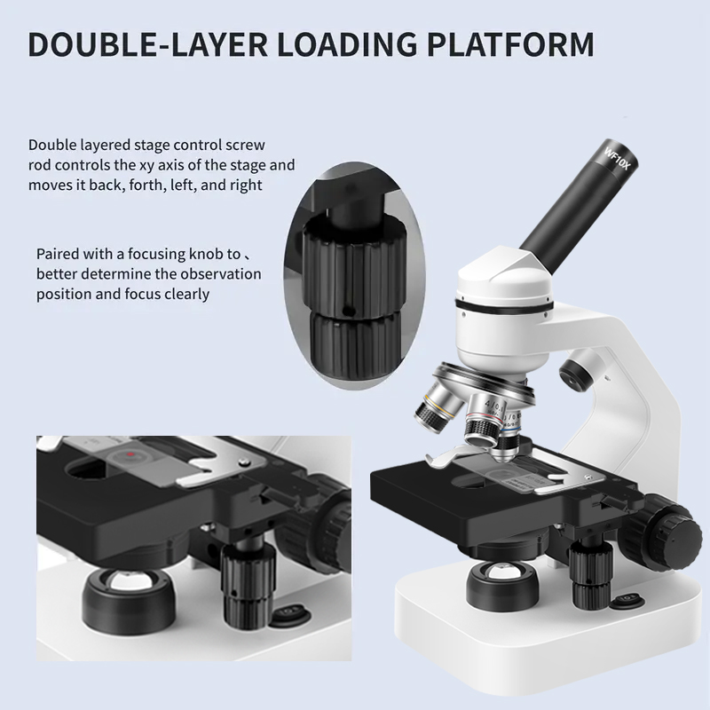 กล้องจุลทรรศน์กล้องส่องทางไกลแ - Microscope Compound 40X บทวิจารณ์และราคา