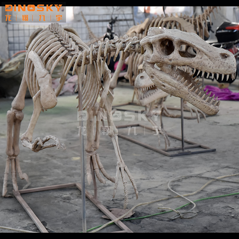 แบบจำลองโครงกระดูกไดโนเสาร์เรซ - Science Exhibition Models บทวิจารณ์และราคา